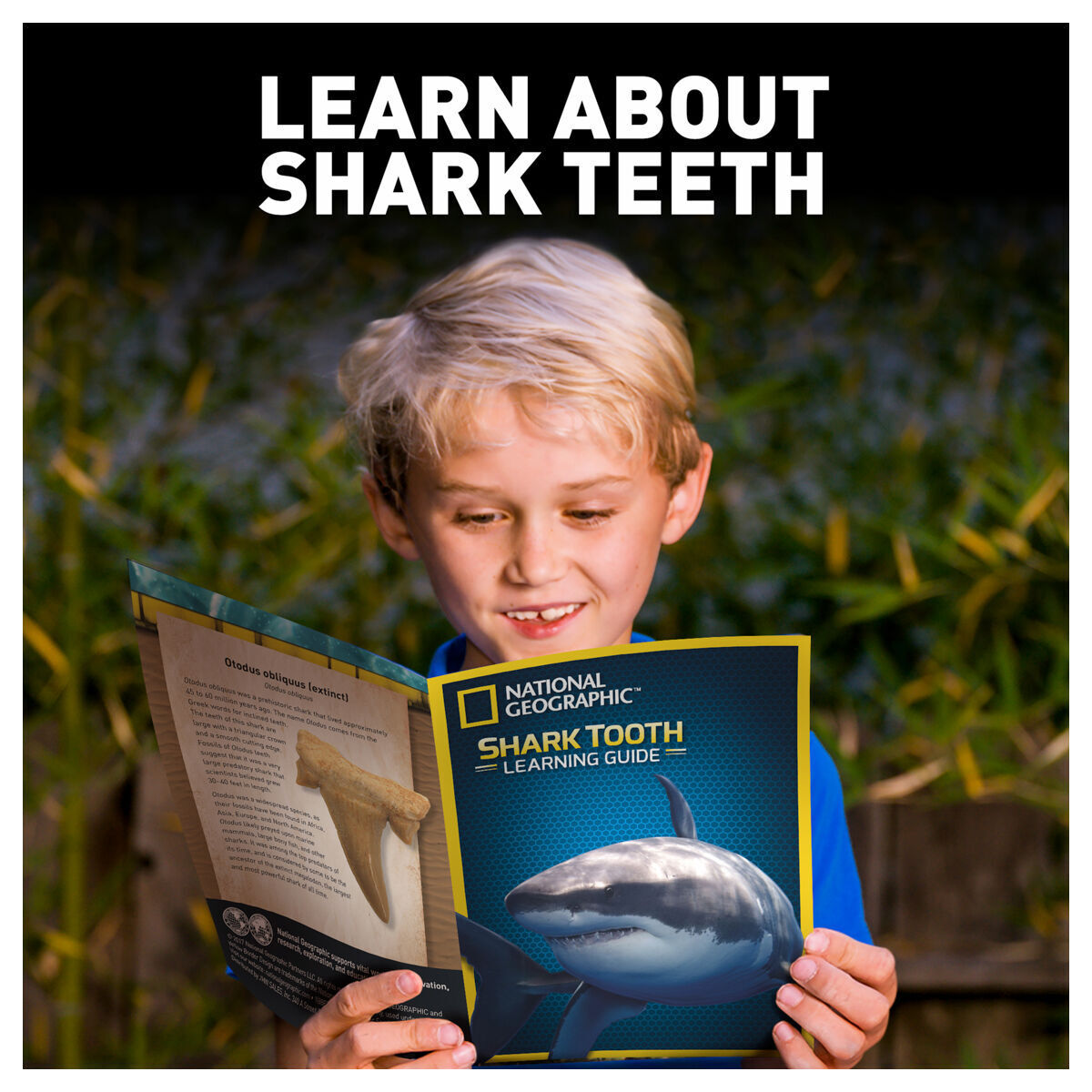 National Geographic Shark Tooth Dig Kit STEM Educational Activity Kit Brand New